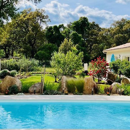 Mini Villa Pascal Paoli Avec Piscine - Proche Mer Prunelli-di-Fiumorbo Dış mekan fotoğraf