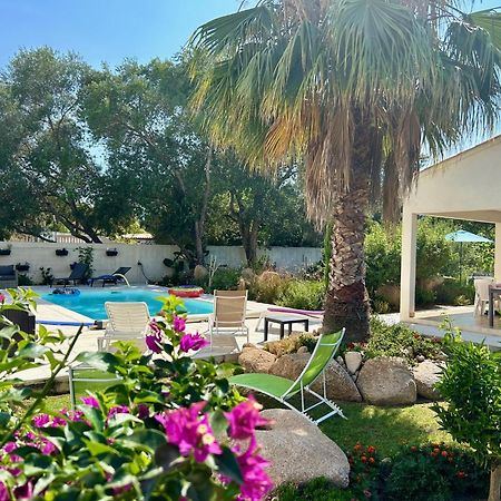 Mini Villa Pascal Paoli Avec Piscine - Proche Mer Prunelli-di-Fiumorbo Dış mekan fotoğraf