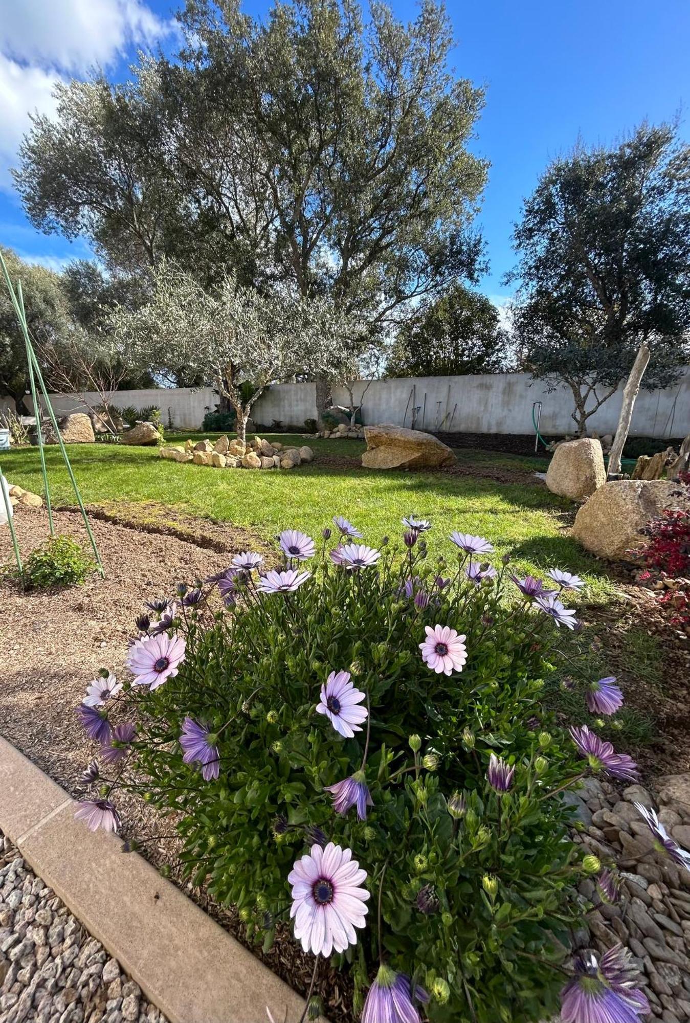 Mini Villa Pascal Paoli Avec Piscine - Proche Mer Prunelli-di-Fiumorbo Dış mekan fotoğraf